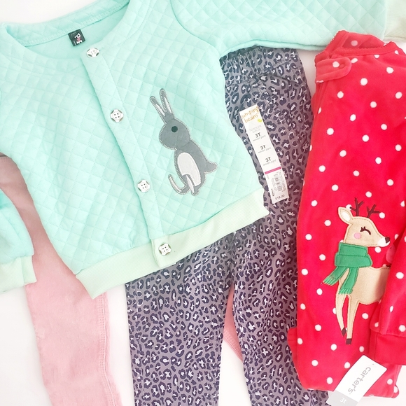 Carter's Other - Bundle animal pants pajamas and jacket.